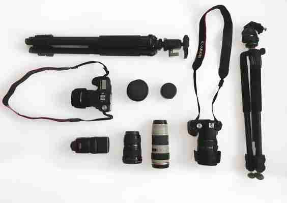 Vogelfotografie – Diese Ausrüstung brauchst du