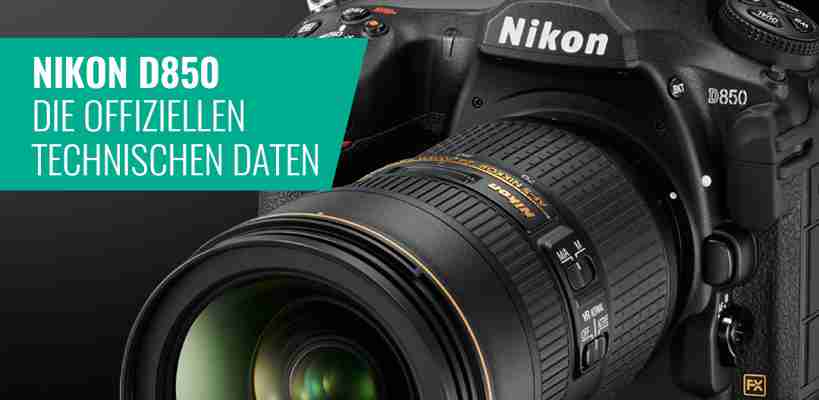 Nikon D800/800E - Volles Format mit Rekord-Auflösung